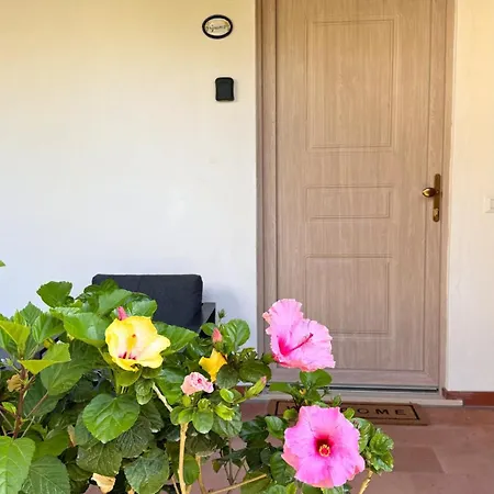 Il Cigno Bed and Breakfast Κάπρι