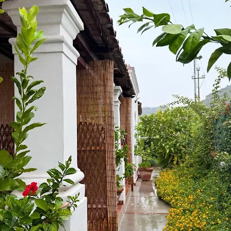 Bed and Breakfast Il Cigno Κάπρι