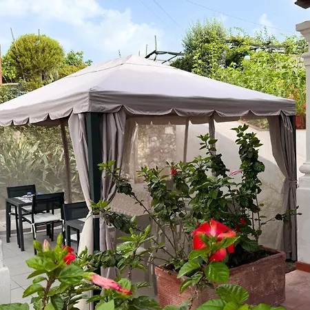 Il Cigno Bed and Breakfast