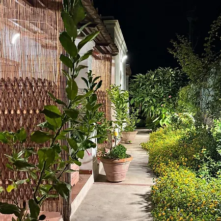 Il Cigno Bed and Breakfast