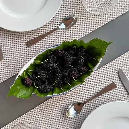 Il Cigno Bed and Breakfast Κάπρι