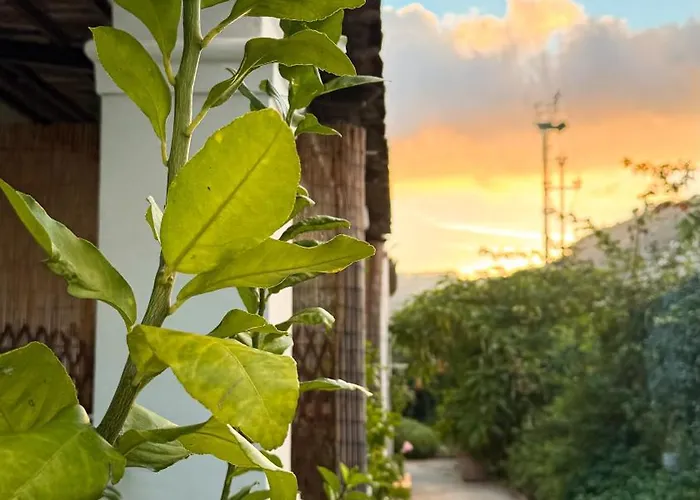 Il Cigno Bed & Breakfast Capri