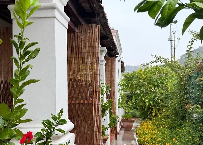 住宿加早餐酒店 Il Cigno 卡普里