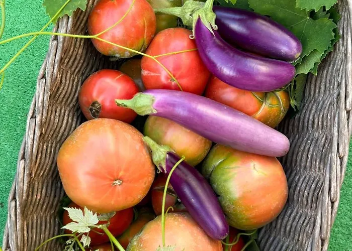 Il Cigno 住宿加早餐酒店 卡普里