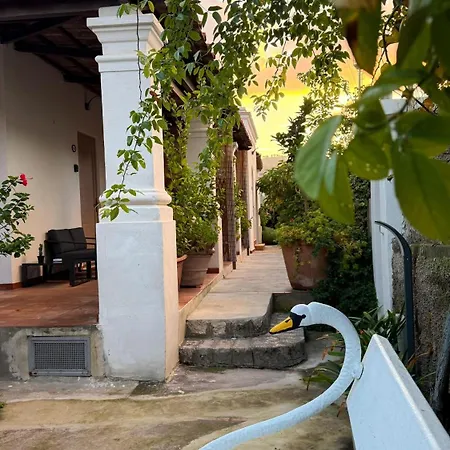 Il Cigno فندق مبيت وإفطار