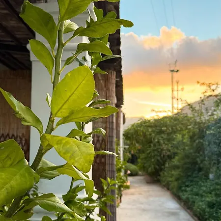 Il Cigno Bed & Breakfast Capri