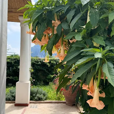 Il Cigno Nocleg ze śniadaniem Capri