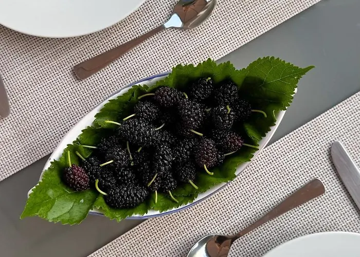 Il Cigno ベッド・アンド・ブレックファスト カプリ